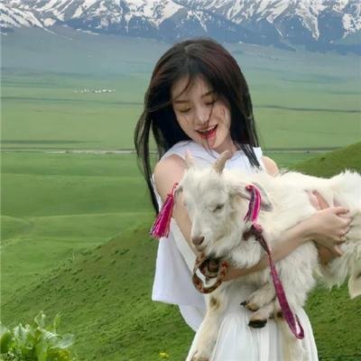 戈壁恩仇录